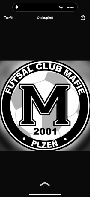 FC Mafie Plzeň
